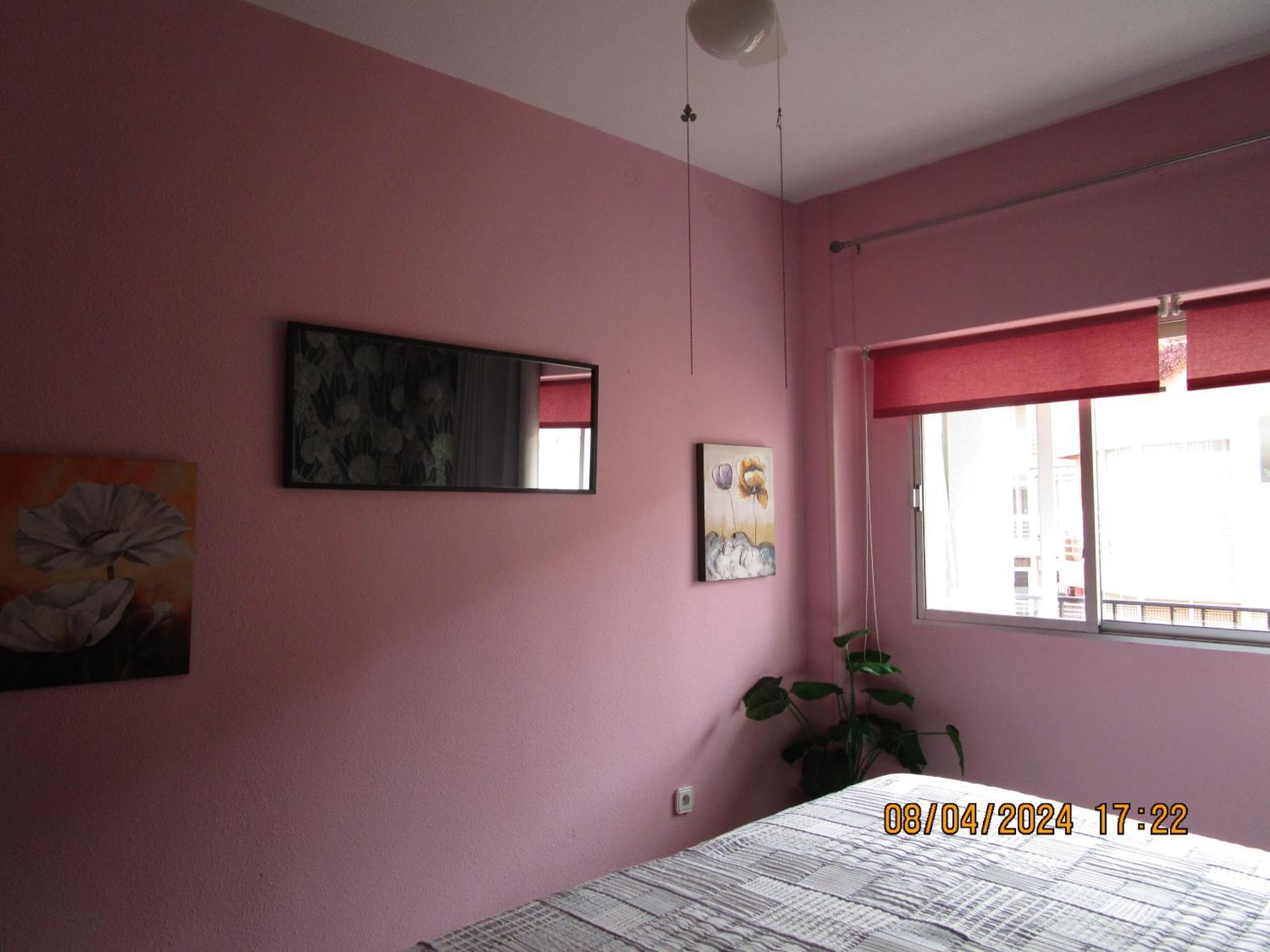 Rosamar Apartment Torrevieja Exterior photo